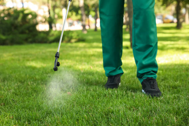 Best Ant Control Services  in Brice Prairie, WI