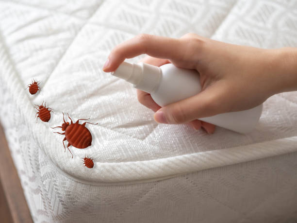 Best Cockroach Control Services  in Brice Prairie, WI