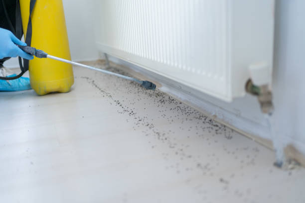 Brice Prairie, WI Pest Control Company